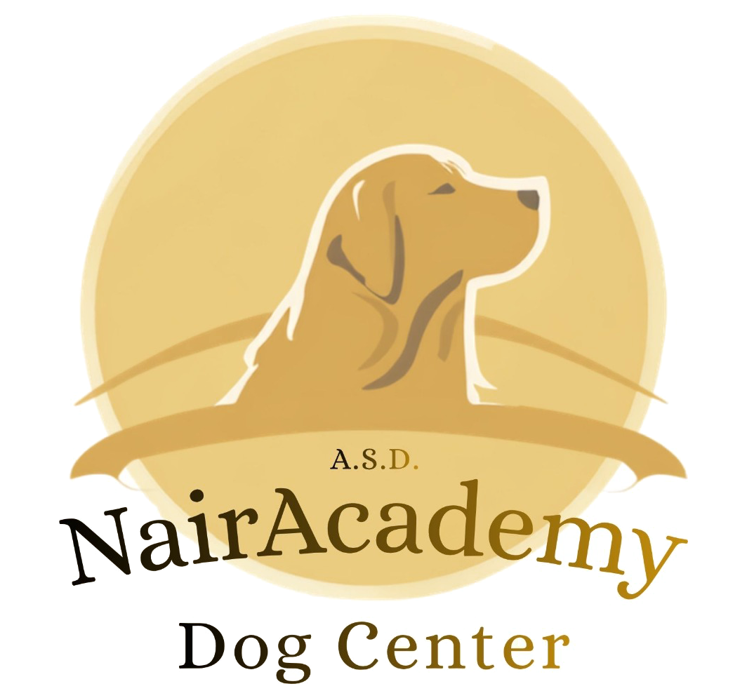 Nair Academy